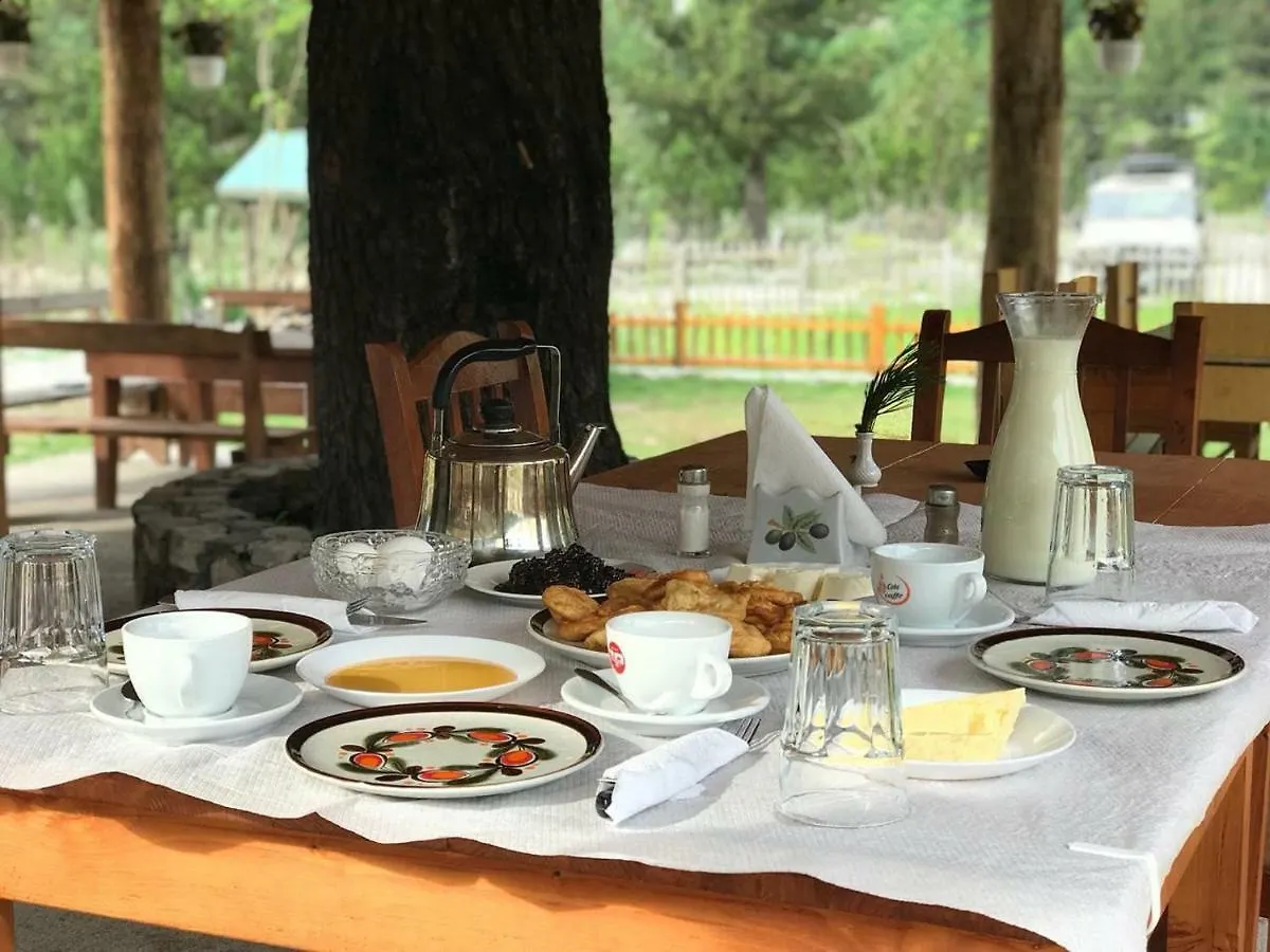 'Gurra Family' Guesthouse Theth Guest house